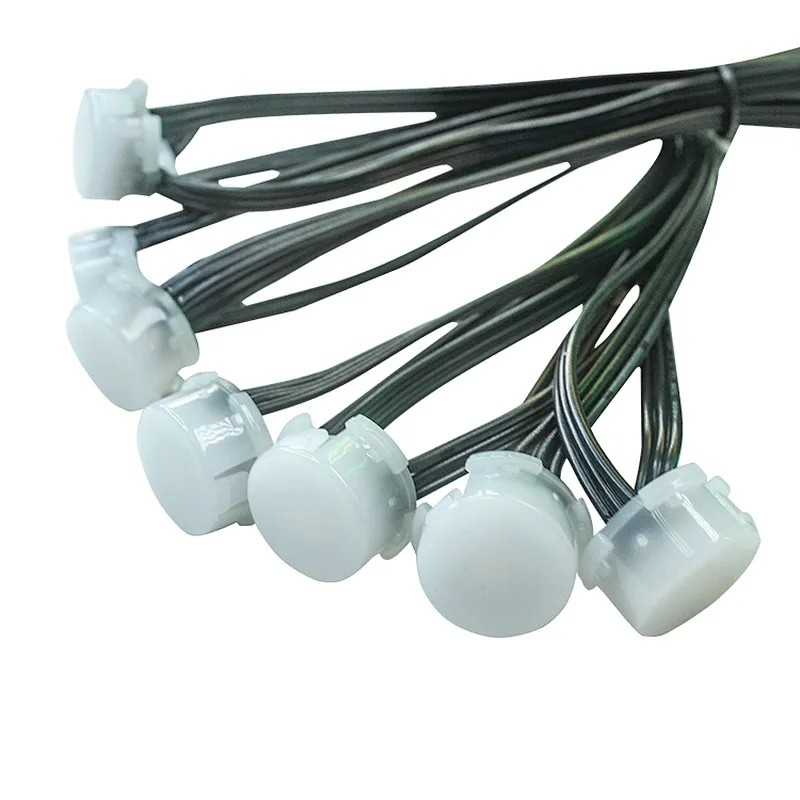 Outdoor IP68 Waterproof Holiday Lighting RGBW LED holiday string lights
